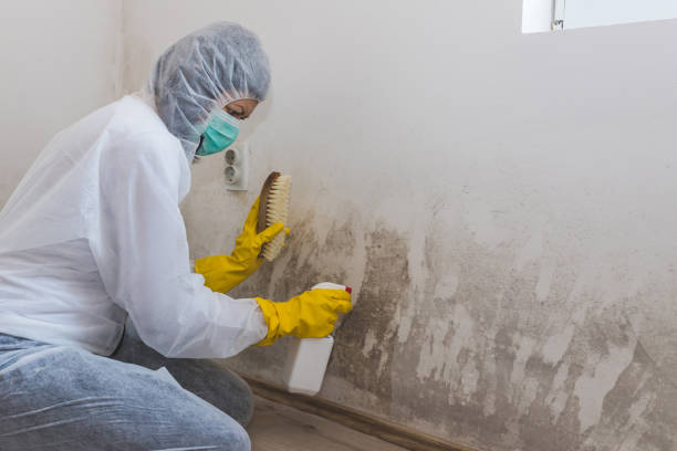 Best Black Mold Removal  in Sawmills, NC
