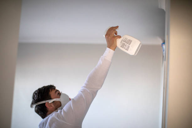 Best Best Mold Removal Companies  in Sawmills, NC