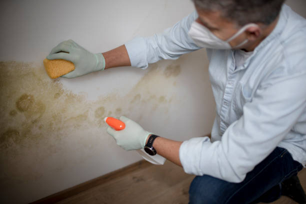 Water Damage Restoration in Sawmills, NC